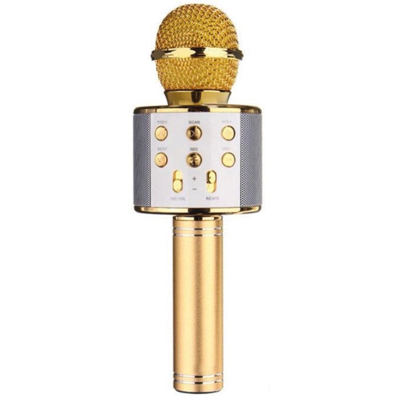 MICROPHON S KOLONKA WSTER WS-858 Микрофон с тонколонка /LED WS-858/