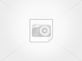 BAT BP AG4/377A BAT BP AG4/377A 1.55V 377A